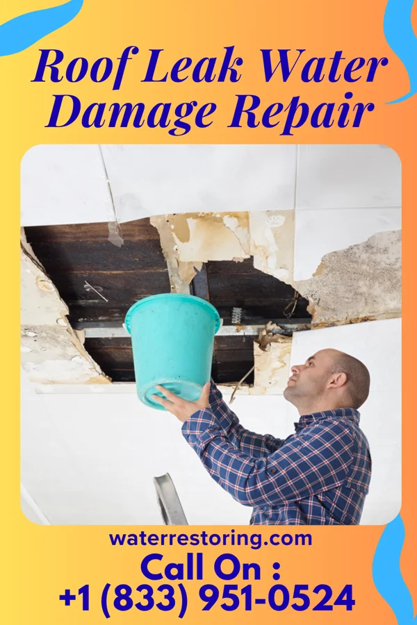 Roof Leak Water Damage Repair in Riverbend, MT